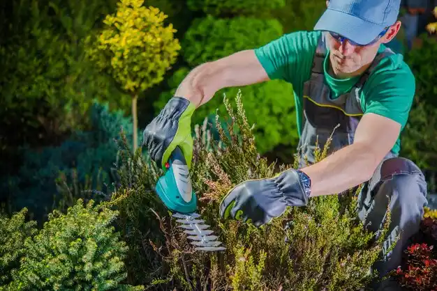 landscaping services Pulaski